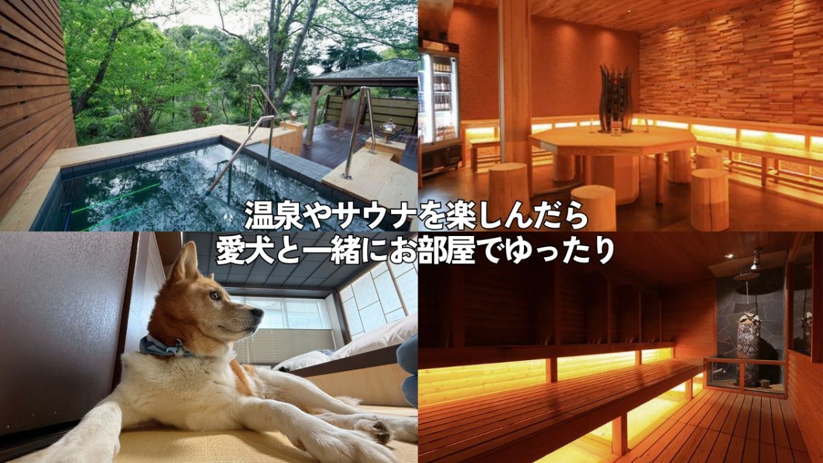 島根県出雲市にあるペット同伴OKの温泉旅館「四季荘」の内観