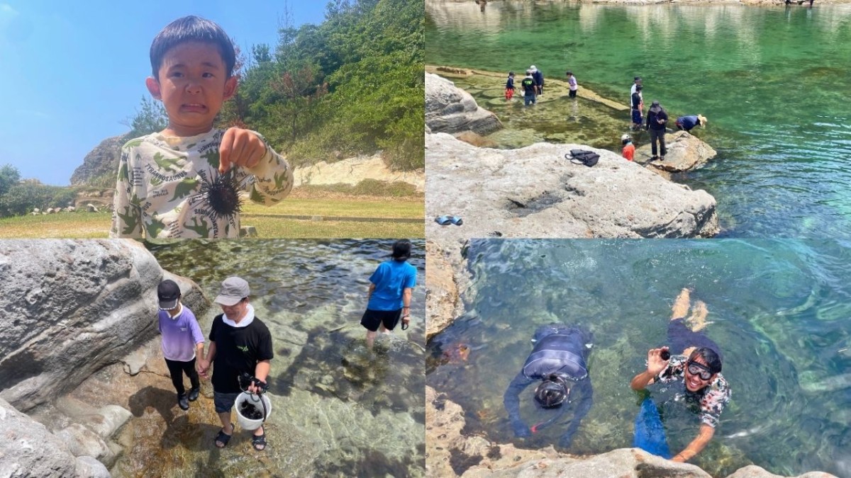 大田市にある櫛島キャンプ場の海