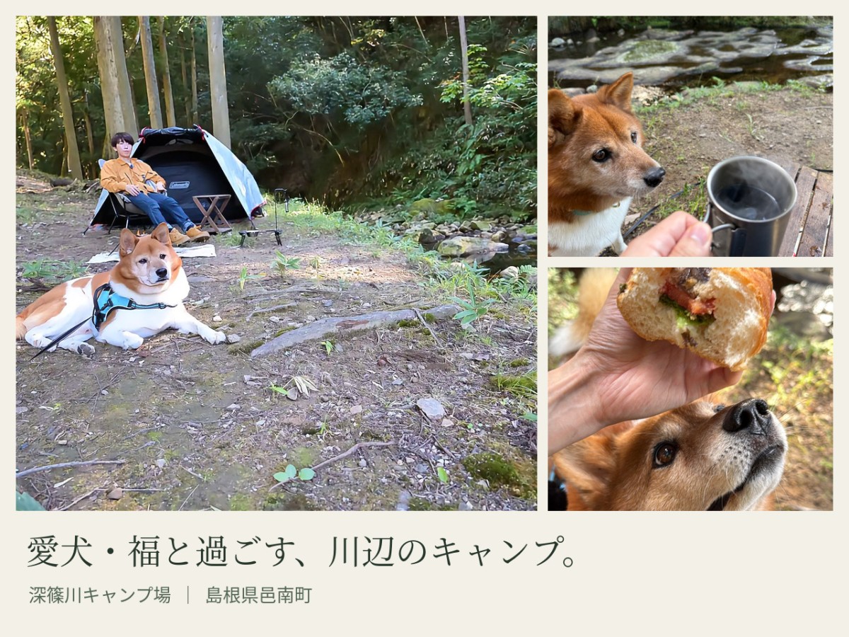 邑南町にある「深篠川キャンプ場」
