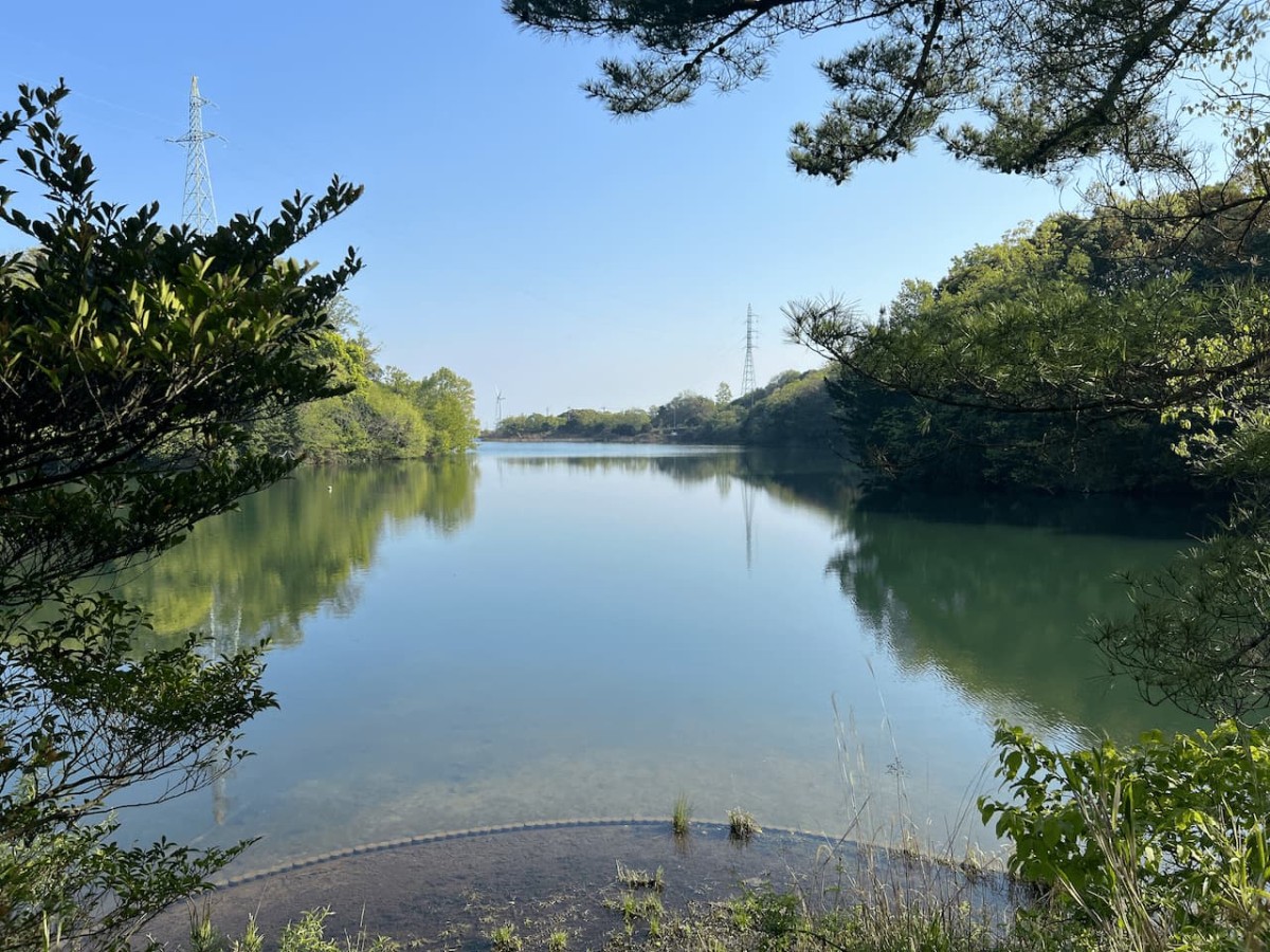 島根県江津市にある『菰沢公園オートキャンプ場』の菰沢池
