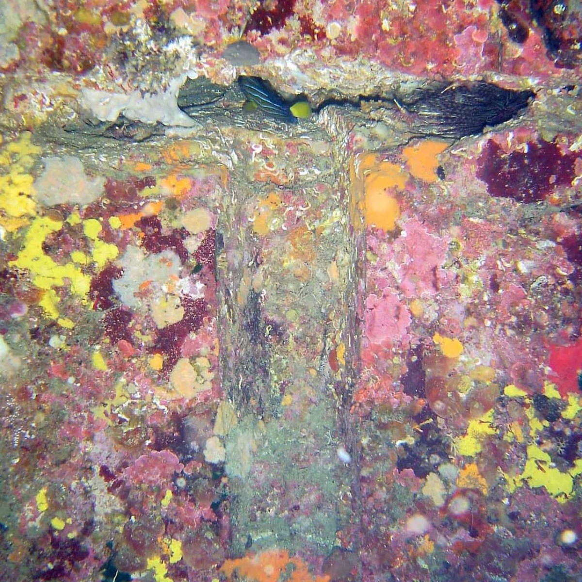 島根県出雲市日御碕にある海底遺跡、ボングイにある人工的に削られた跡