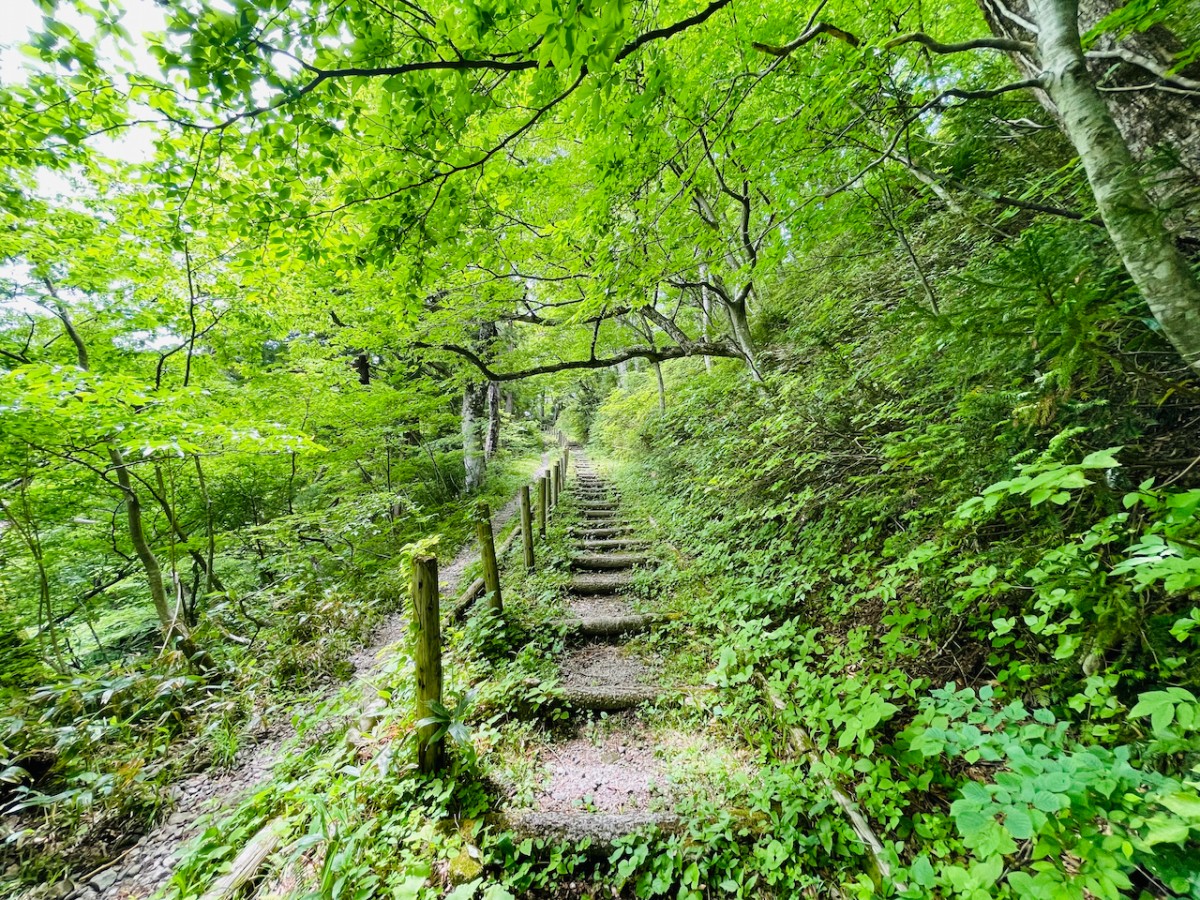 鳥取県西伯郡大山町にある寂静山へ向かう階段