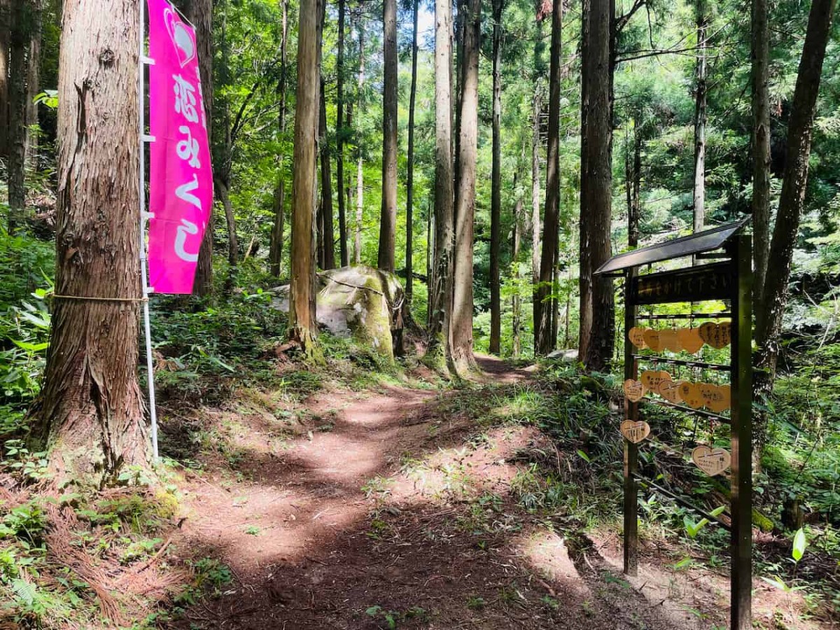鳥取県日野郡日南町にある聖滝の願掛けスポット