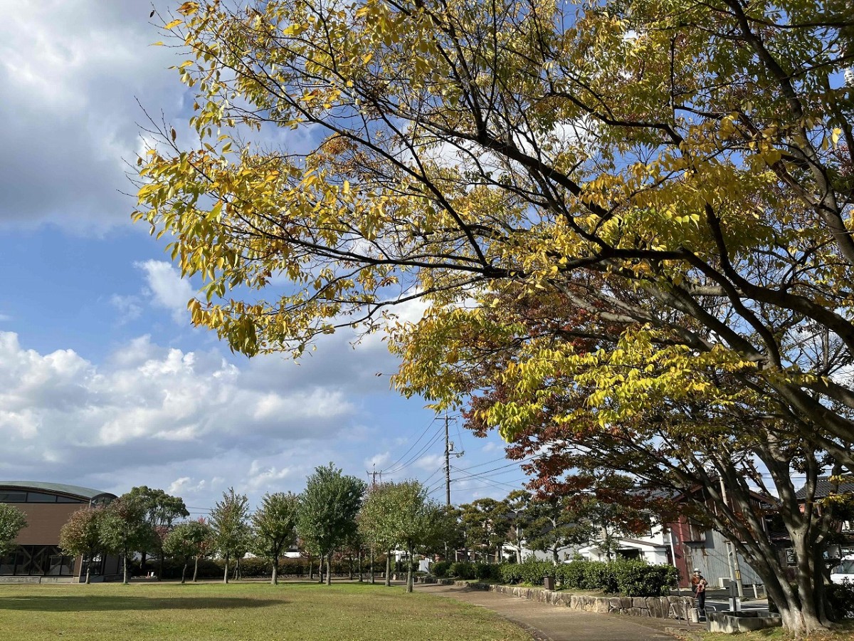 島根県出雲市大津町にある『くすのき広場』の様子