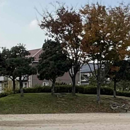 島根県出雲市にある『美保南公園』の晴天時の丘の様子