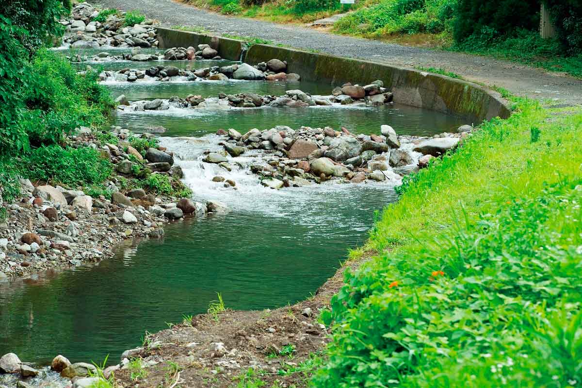 鳥取県倉吉市のおすすめ川遊びスポット『清流遊YOU村』