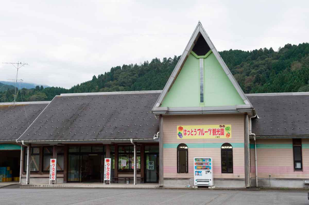 鳥取県八頭町_フルーツ狩り_はっとうフルーツ観光園_りんご狩り_料金_時期_アクセス