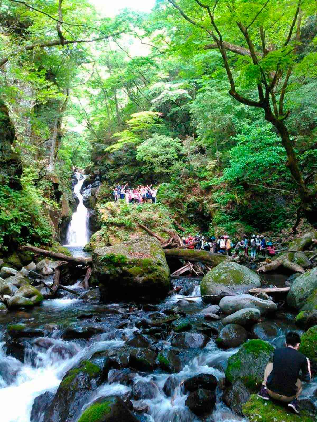 鳥取市_川遊び_シャワークライミング_おすすめ_飛び込み_山王谷