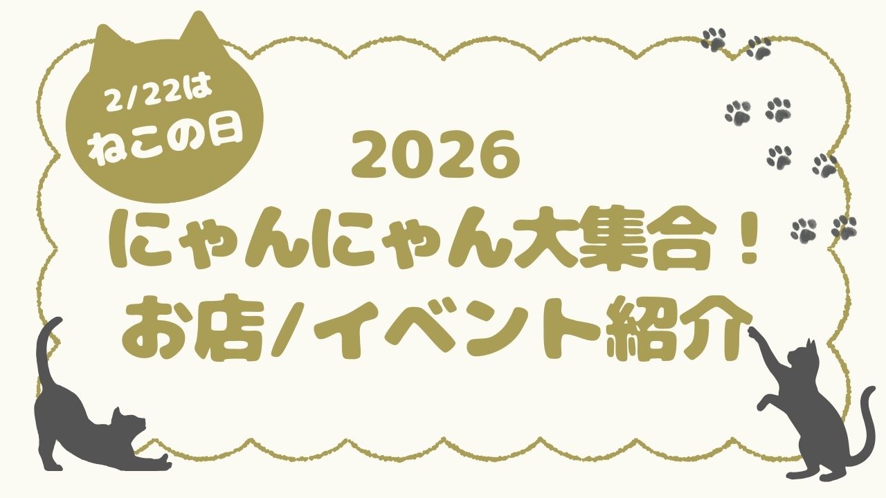 画像がありません