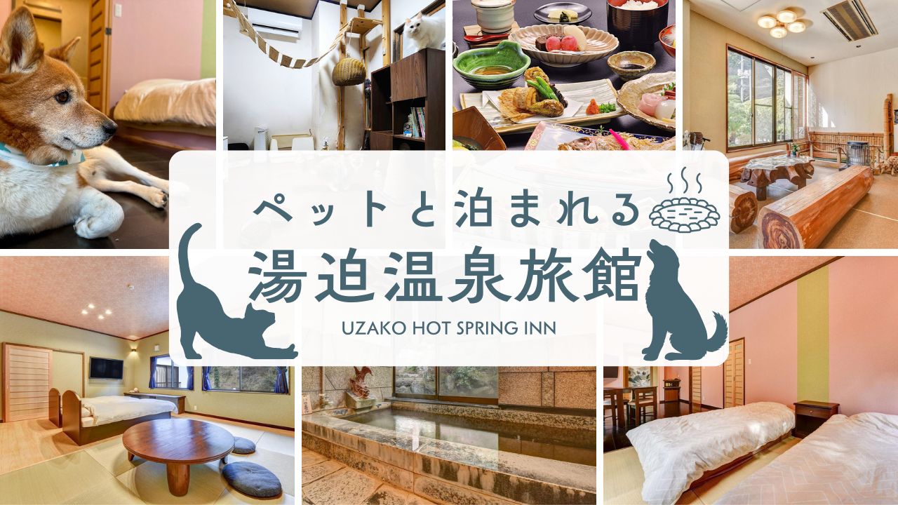 画像がありません