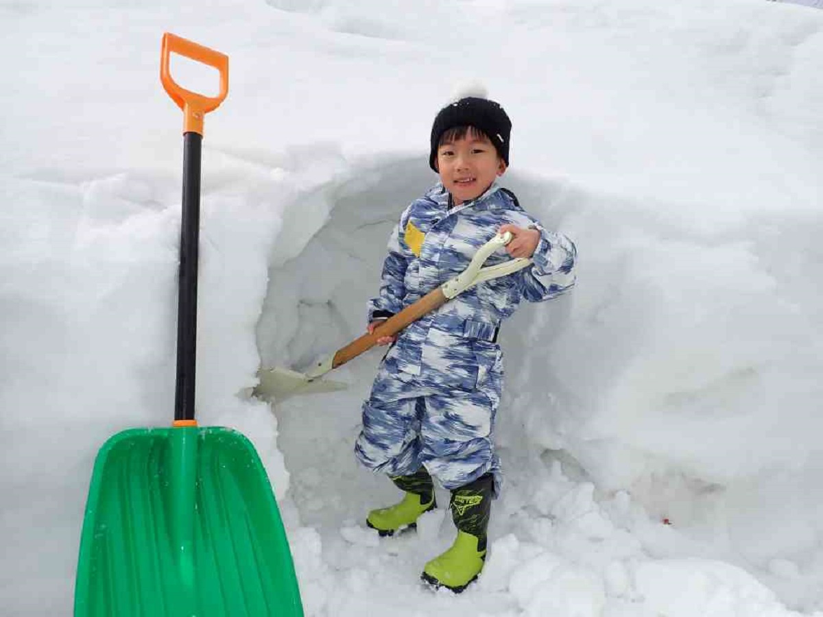 画像がありません