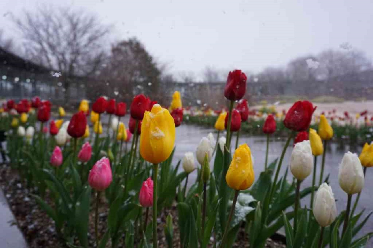 画像がありません