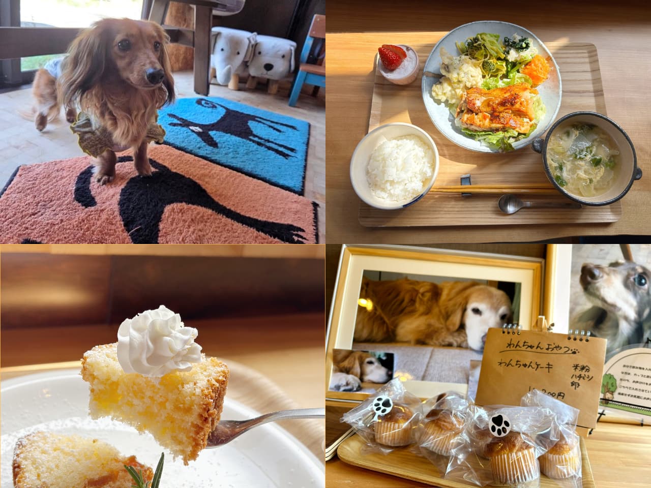 画像がありません