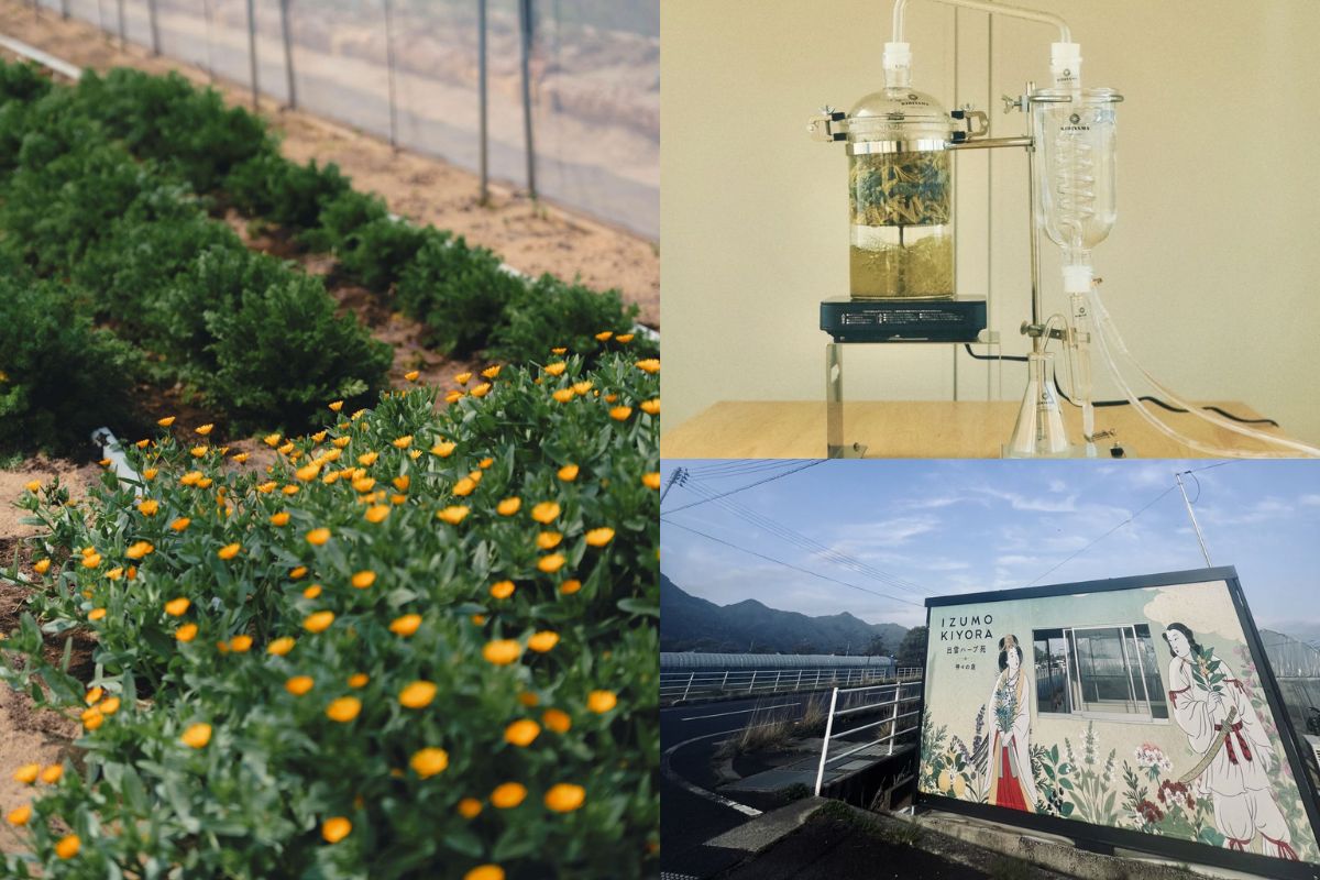 画像がありません