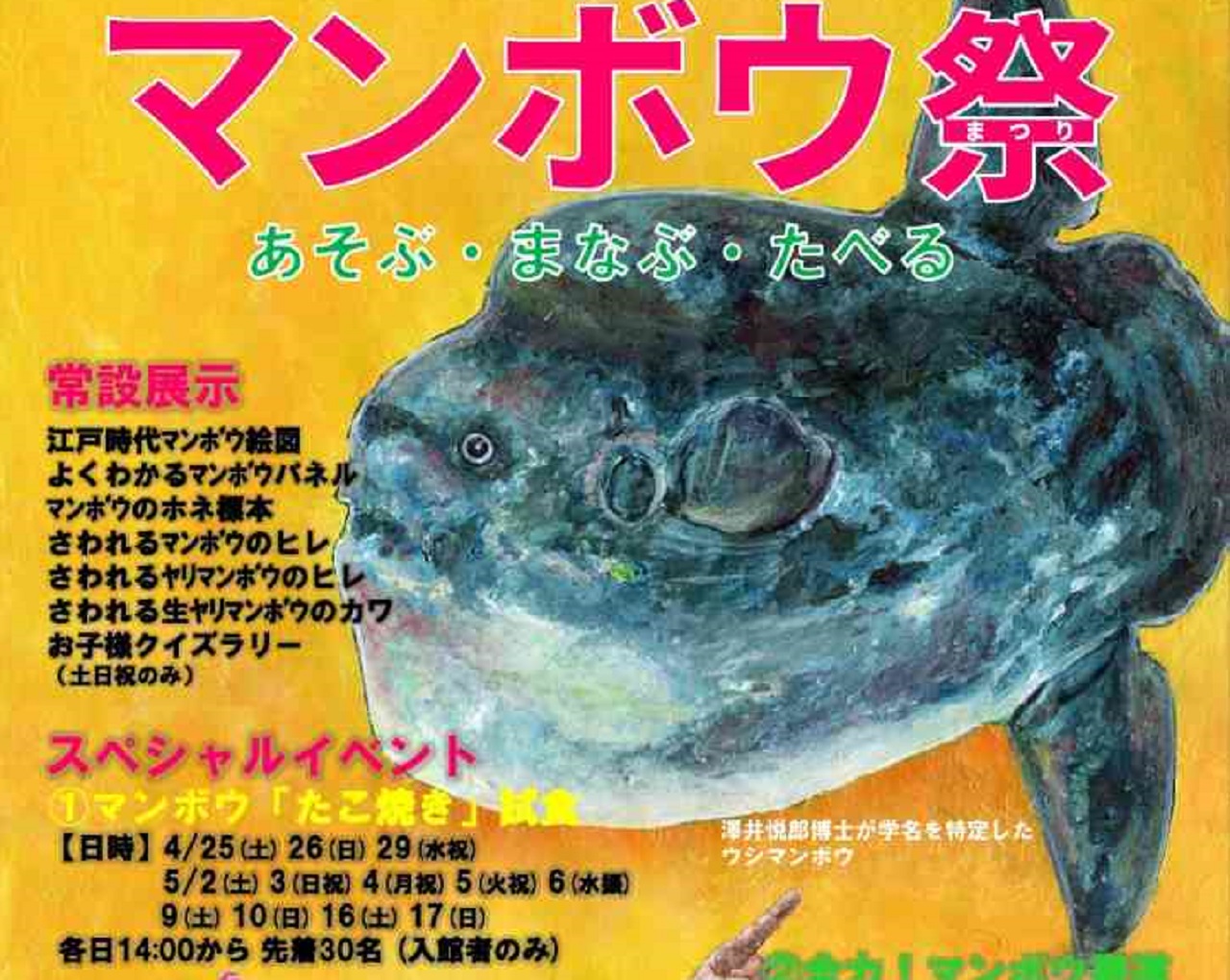 画像がありません