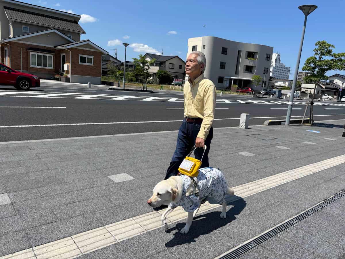 画像がありません