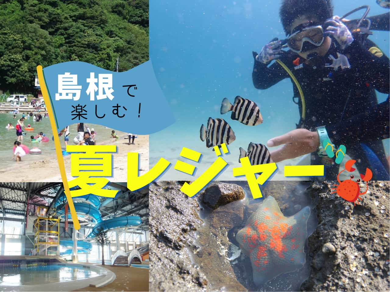 画像がありません
