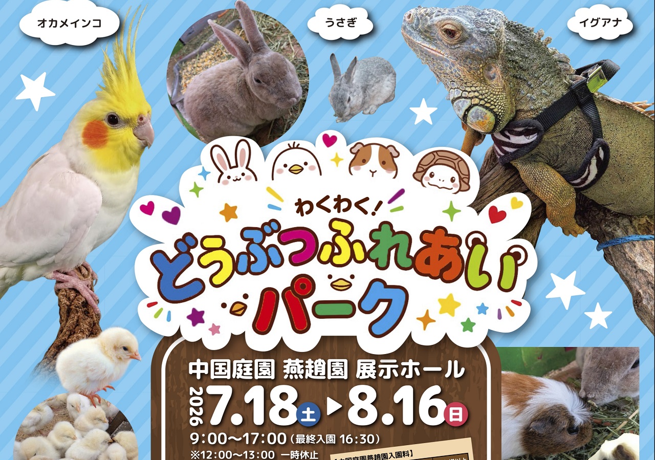 画像がありません