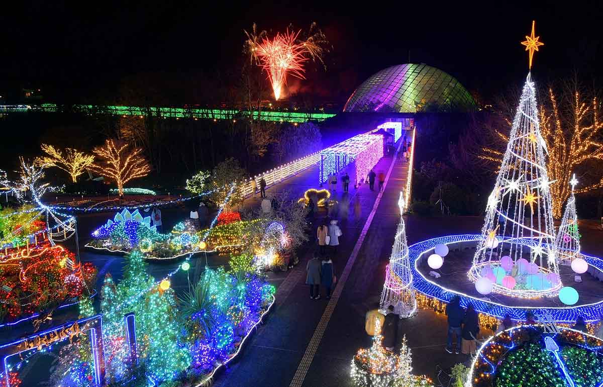 イルミネーションにおすすめ！！リトルグリーンメンのブローライト